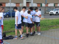 IMG 4581