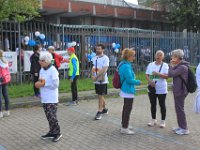 IMG 4584
