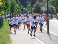 IMG 4601