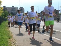 IMG 4610