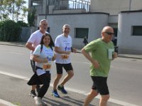 IMG 4629
