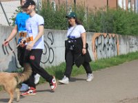 IMG 4711