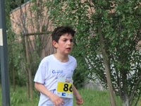 IMG 4742