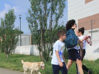 IMG 4771