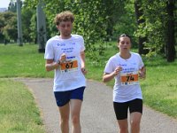 IMG 4819
