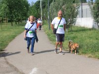 IMG 4854