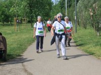 IMG 4855