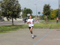 IMG 2960