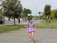 IMG 2974