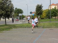 IMG 2979