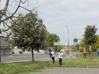 IMG 2982