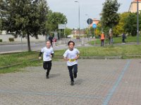 IMG 2984
