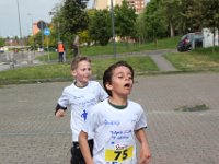 IMG 2985