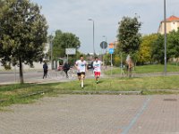 IMG 2987