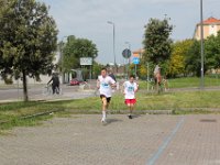 IMG 2988