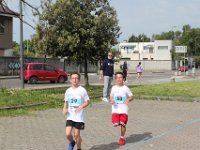 IMG 2996