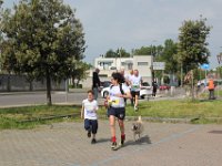 IMG 3043