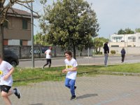 IMG 3050