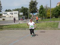 IMG 3062