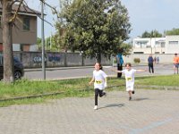 IMG 3093