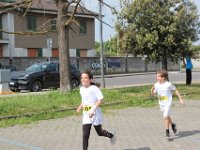 IMG 3094