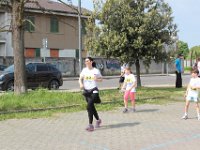 IMG 3114