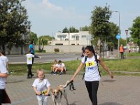 IMG 3131