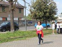 IMG 3132