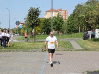 IMG 3175